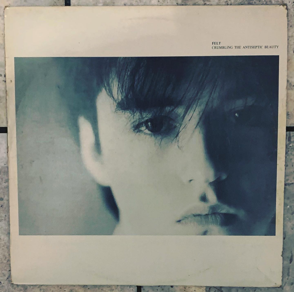 未開封　FELT　CRUMBLING THE ANTISEPTIC BEAUTY Crumbling The Antiseptic Beauty: 美の崩壊 : Felt | HMV&BOOKS