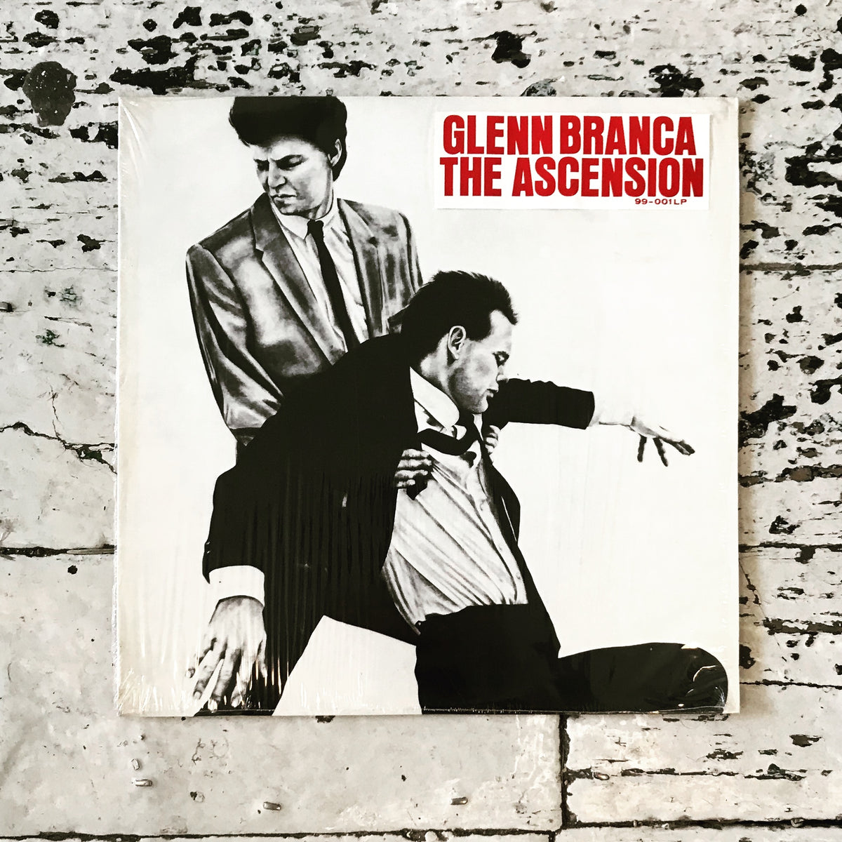 IMG_8280_1200x1200.jpg?v=