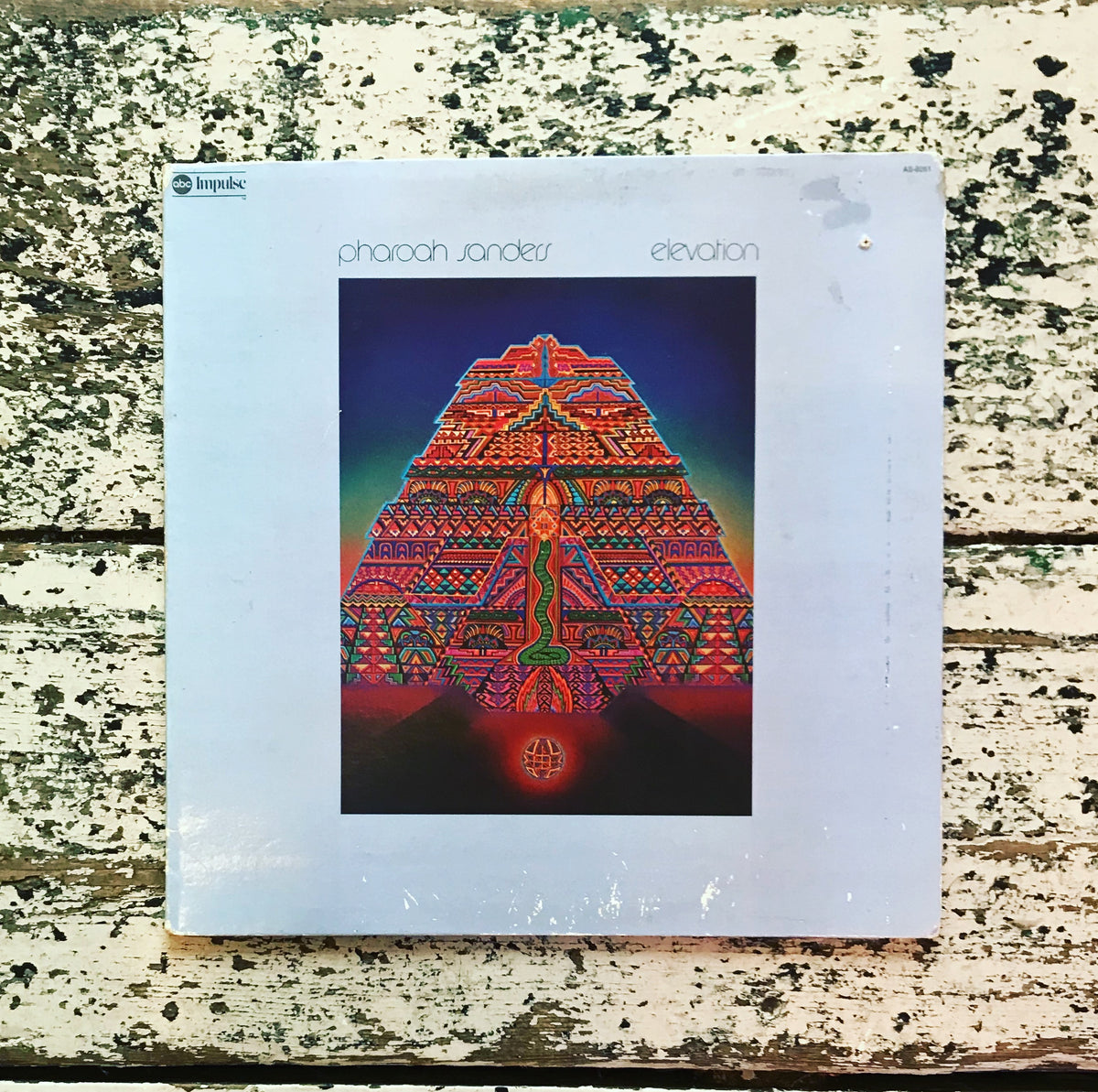 IMG_8892_1200x1200.jpg?v=