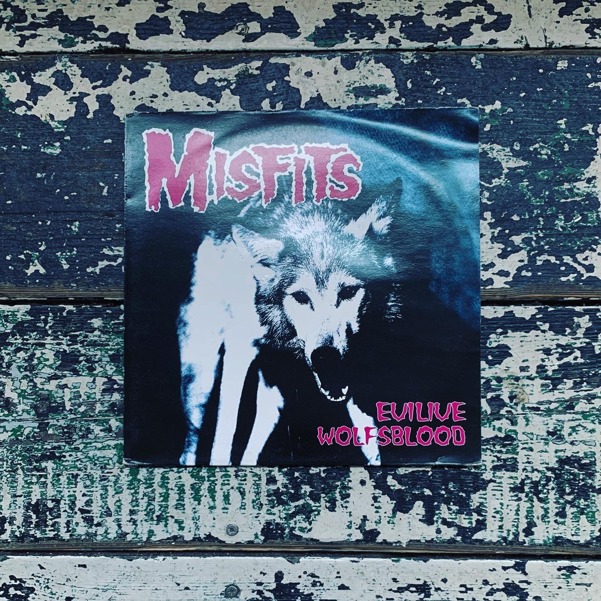 Misfits - Evilive Wolfblood – World Of Echo