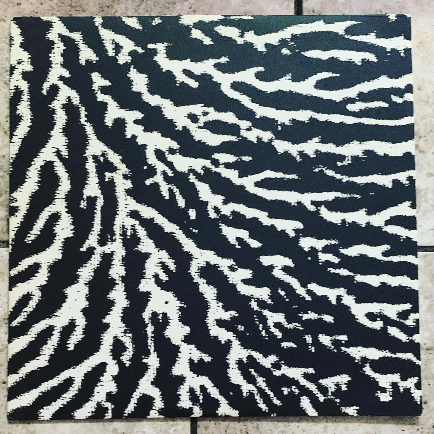 Grouper - Cover the Windows and the Walls – World Of Echo