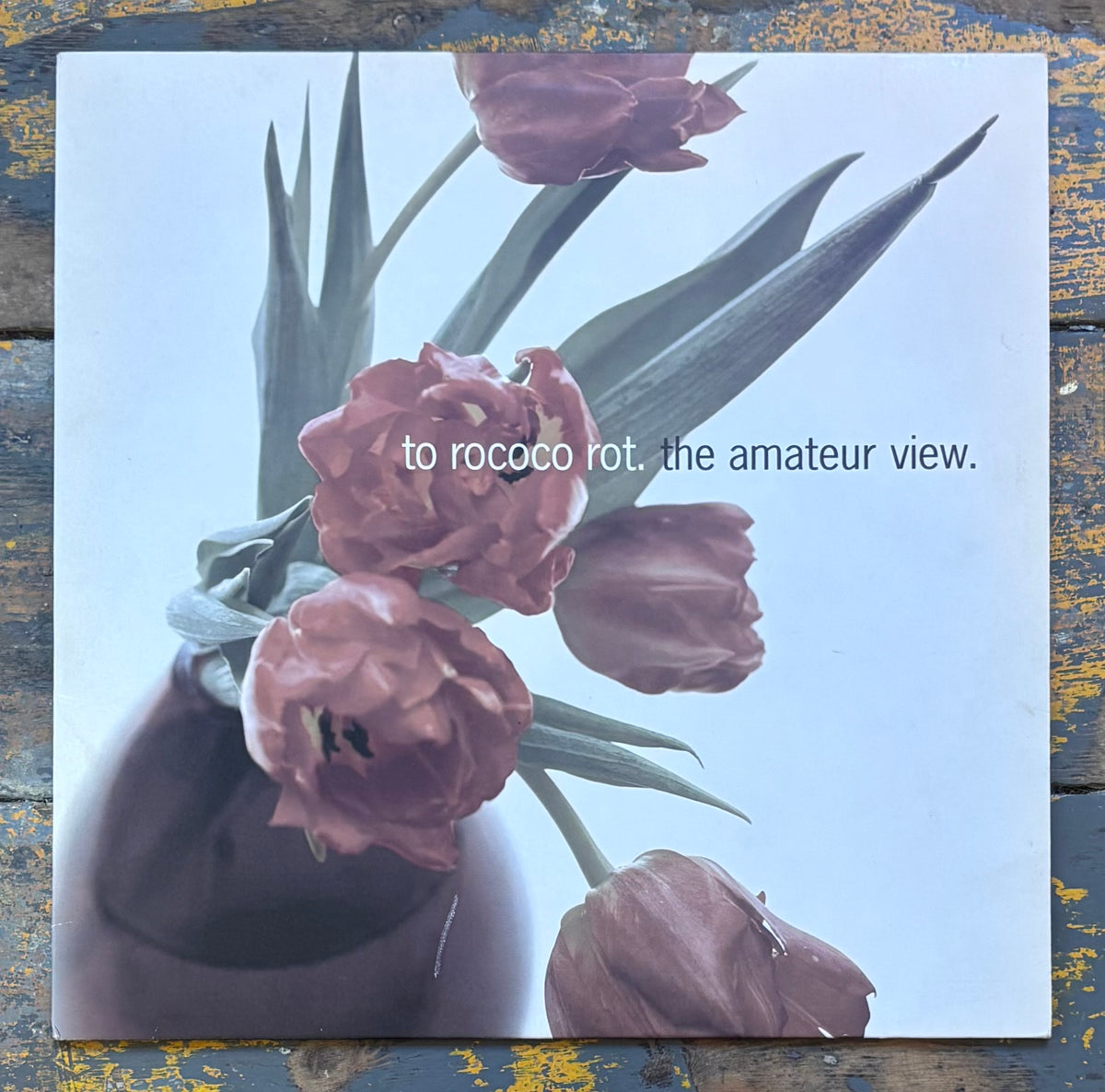 To Rococo Rot - The Amateur View – World Of Echo