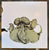 Coil – The Ape Of Naples / The New Backwards
