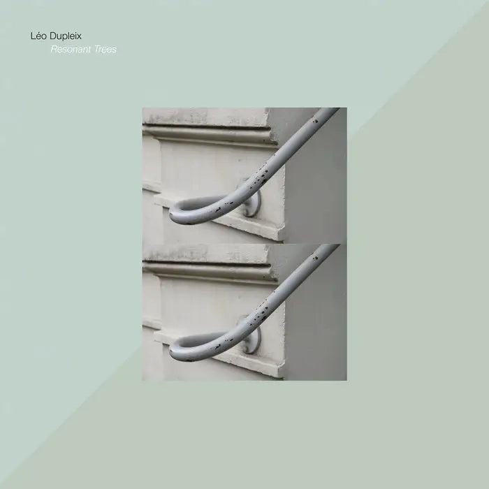 Leo Dupleix - Resonant Trees – World Of Echo