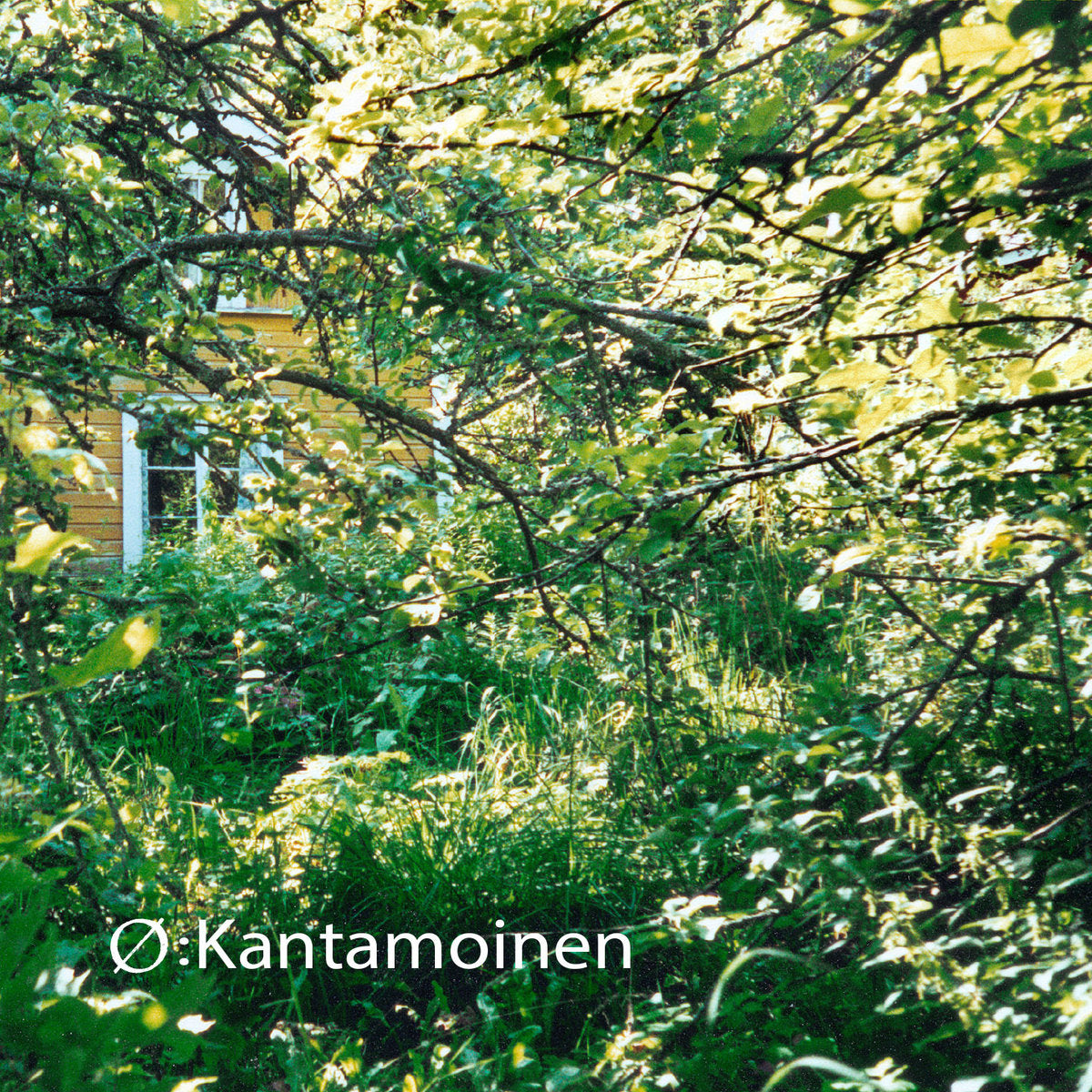 Mika Vainio - Kantamoinen – World Of Echo