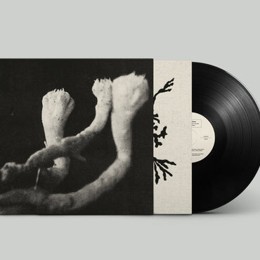 Läuten der Seele - Unterhaltungen mit Larven und Überresten