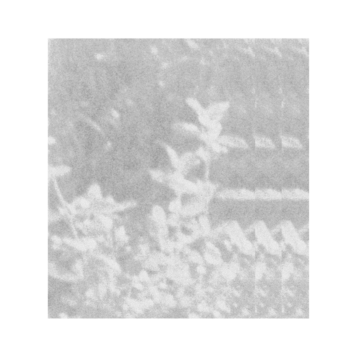 Glen Rey - Of That Which We Cannot Speak...