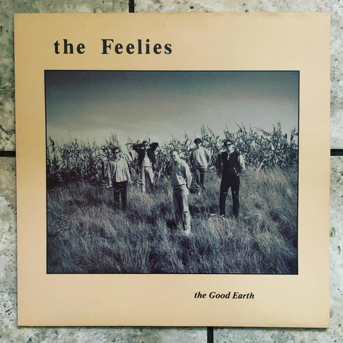 The Feelies - Good Earth – World Of Echo