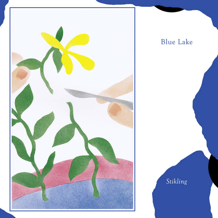 Blue Lake - Stikling