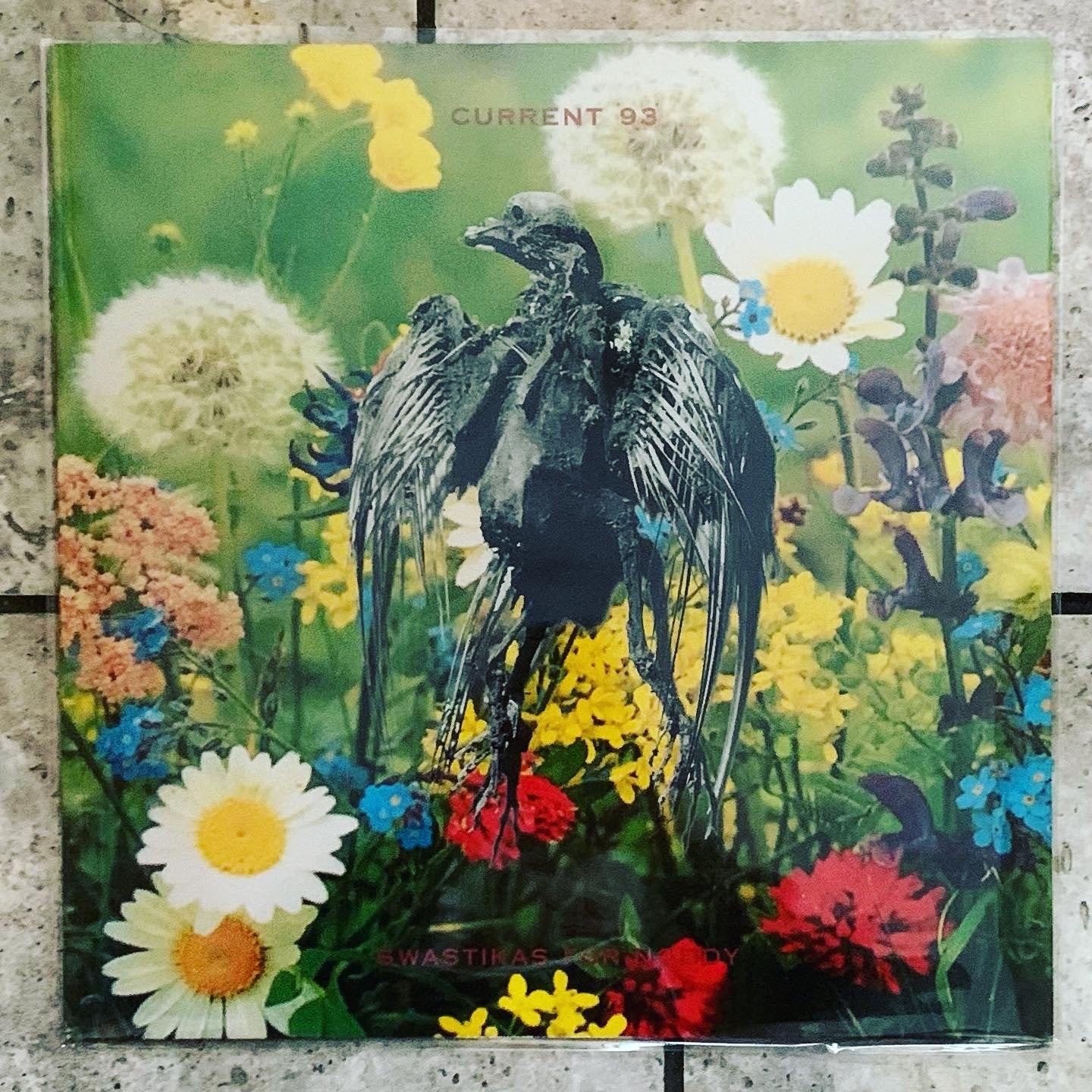 Current 93 - Swastikas For Noddy – World Of Echo